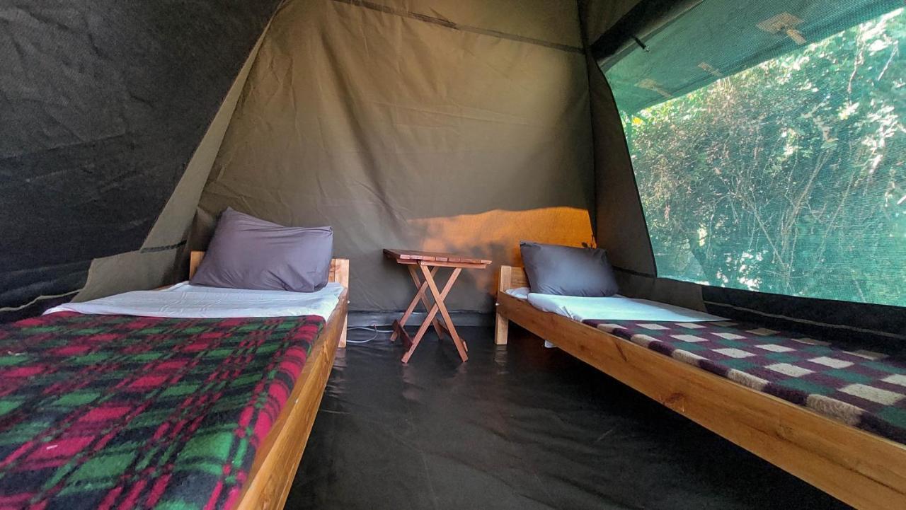 Greenwood safari camp Talek Buitenkant foto