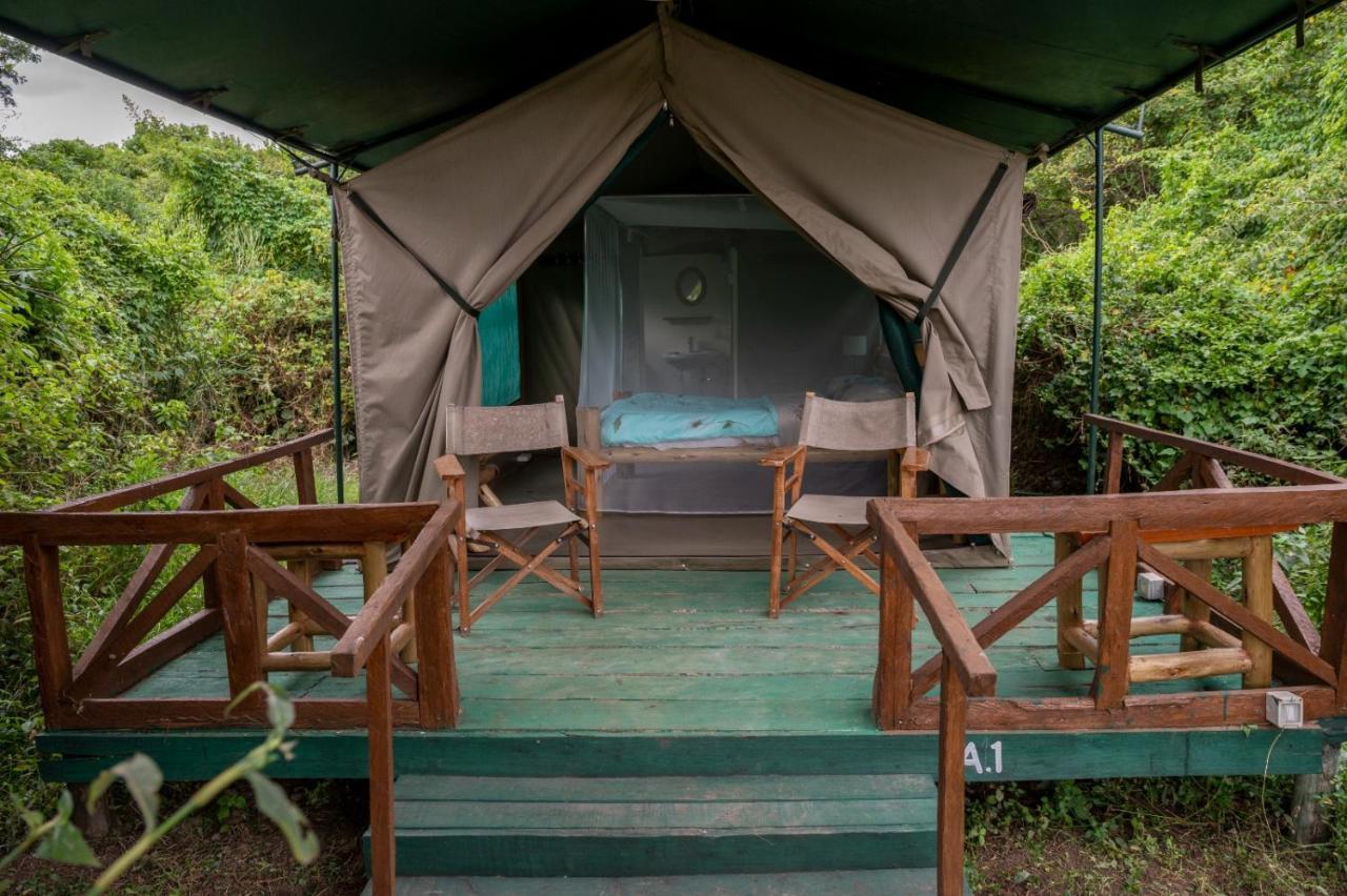 Greenwood safari camp Talek Buitenkant foto